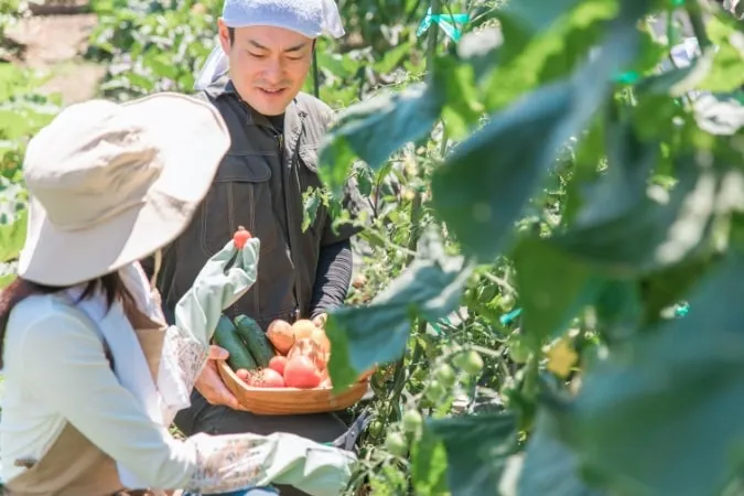 ニコイチプロジェクト